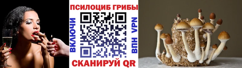 Галлюциногенные грибы Psilocybine cubensis  цены наркотик  Ульяновск 